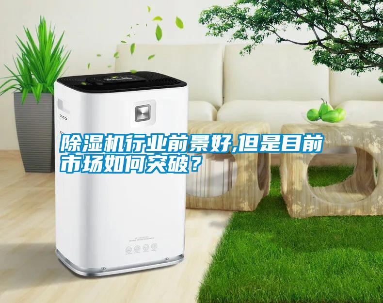 除濕機行業前景好,但是目前市場如何突破？