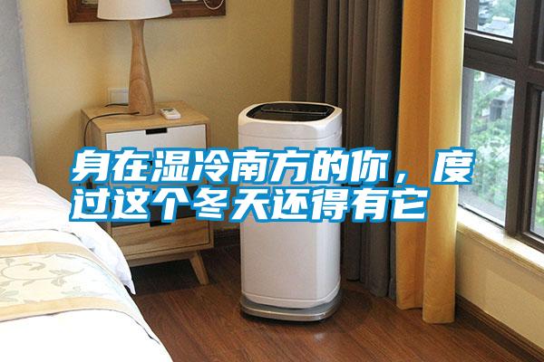 身在濕冷南方的你，度過這個冬天還得有它