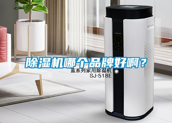 除濕機哪個品牌好??？