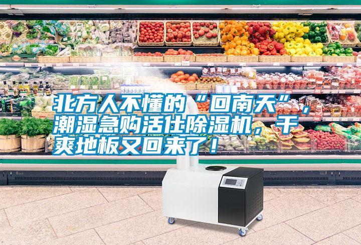 北方人不懂的“回南天”,潮濕急購活仕除濕機,干爽地板又回來了!