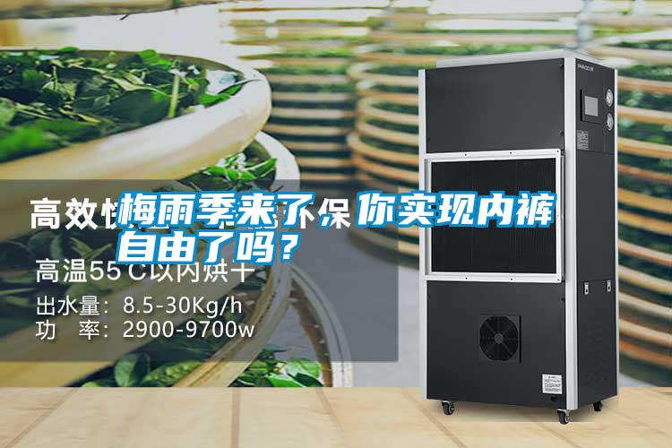 梅雨季來了，你實現內褲自由了嗎？