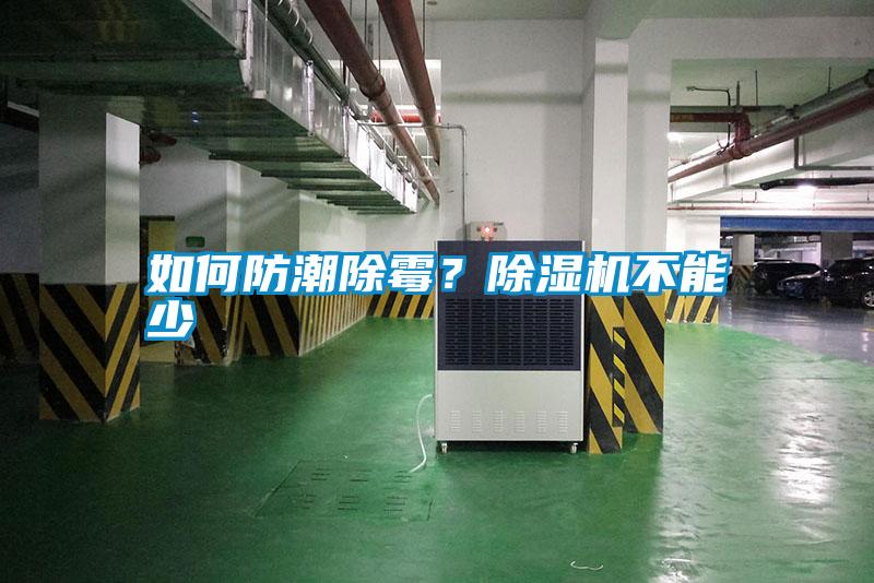 如何防潮除霉?除濕機不能少