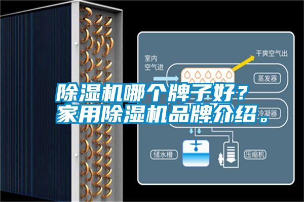 除濕機(jī)哪個(gè)牌子好?家用除濕機(jī)品牌介紹。