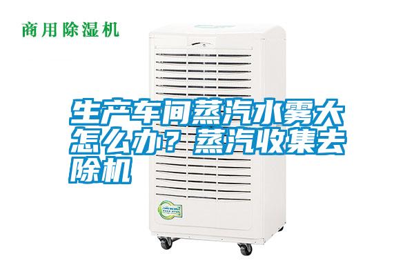 生產車間蒸汽水霧大怎么辦？蒸汽收集去除機