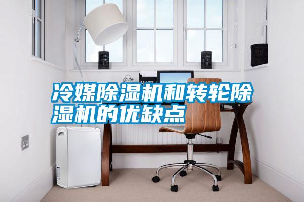 冷媒除濕機和轉輪除濕機的優缺點
