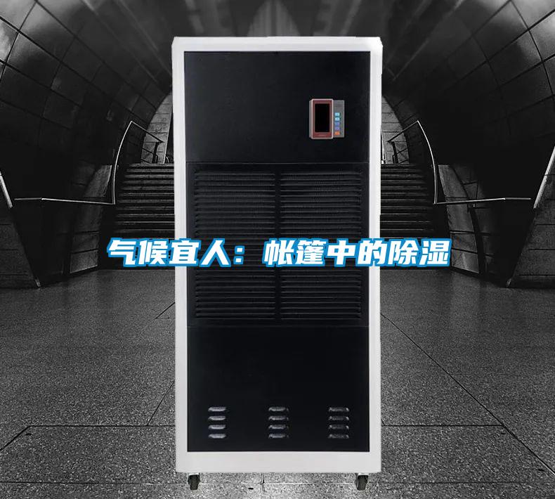 氣候宜人:帳篷中的除濕