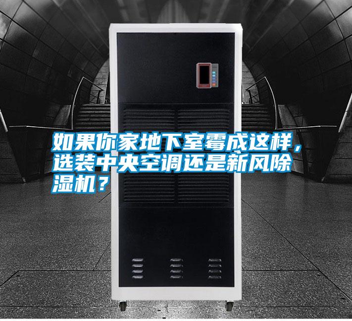 如果你家地下室霉成這樣,選裝中央空調(diào)還是新風(fēng)除濕機(jī)?