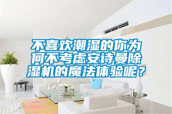 不喜歡潮濕的你為何不考慮安詩曼除濕機的魔法體驗呢？