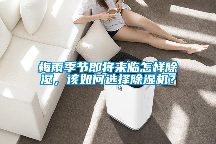 梅雨季節即將來臨怎樣除濕，該如何選擇除濕機？