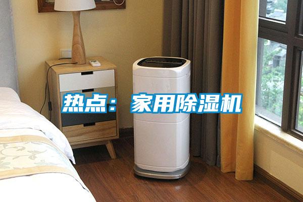 熱點:家用除濕機
