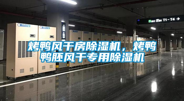 烤鴨風(fēng)干房除濕機(jī)，烤鴨鴨胚風(fēng)干專用除濕機(jī)