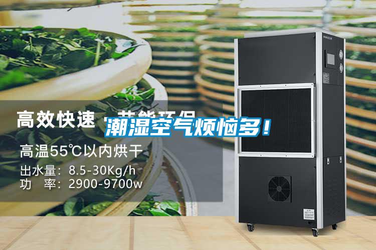 潮濕空氣煩惱多！