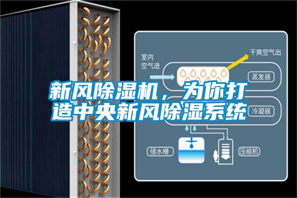 新風除濕機,為你打造中央新風除濕系統