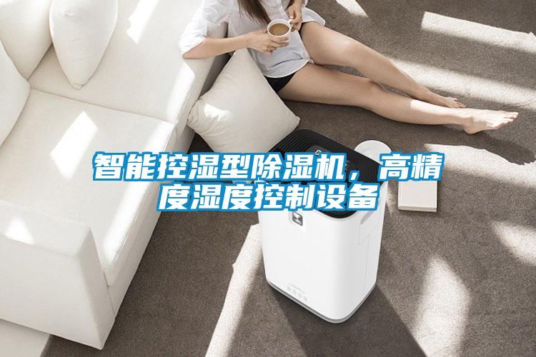 智能控濕型除濕機(jī)，高精度濕度控制設(shè)備