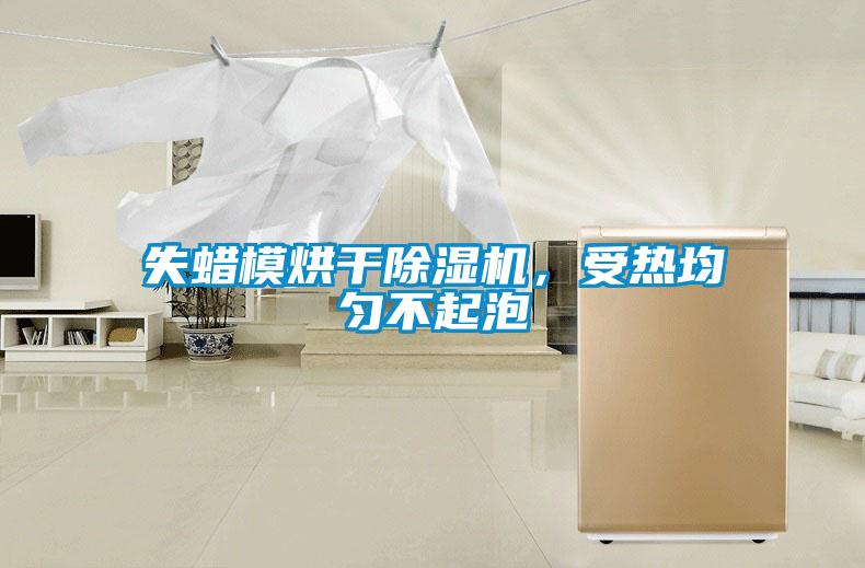 失蠟模烘干除濕機,受熱均勻不起泡