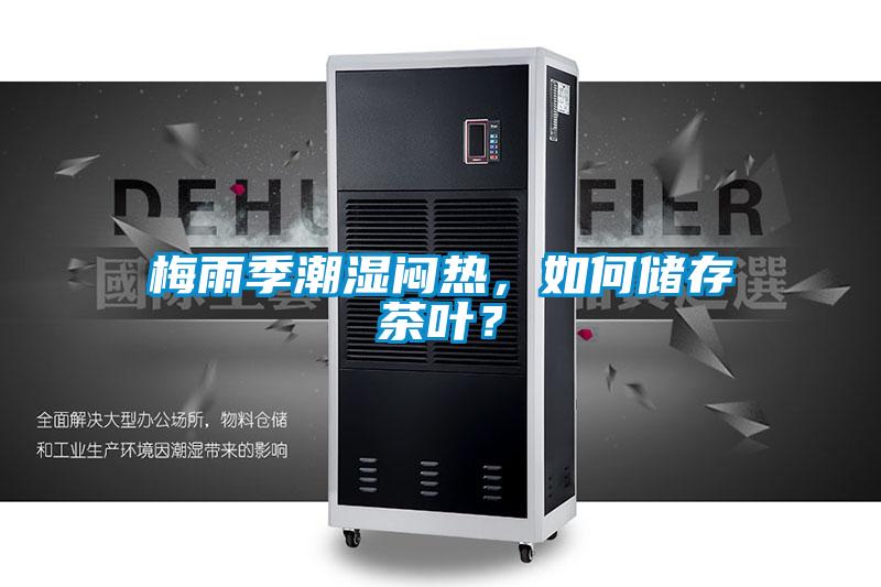 梅雨季潮濕悶熱,如何儲存茶葉?