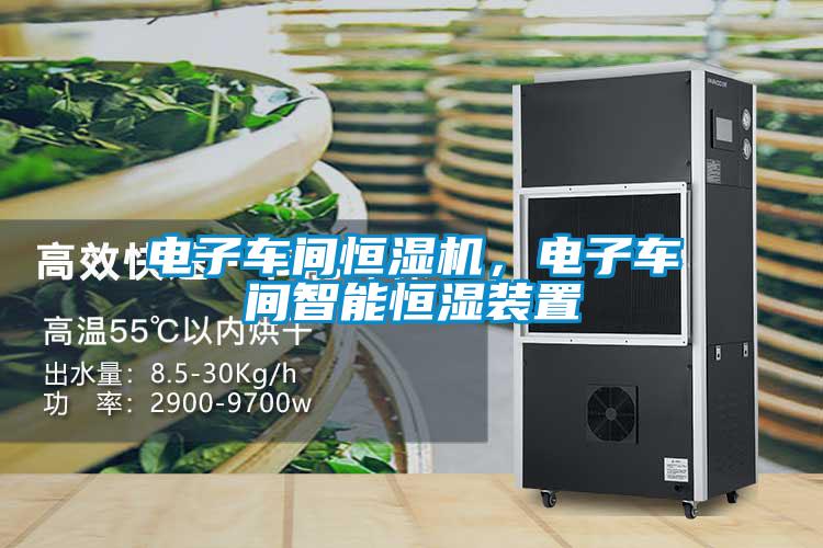 電子車(chē)間恒濕機(jī)，電子車(chē)間智能恒濕裝置