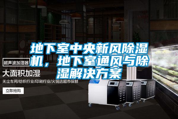 地下室中央新風除濕機，地下室通風與除濕解決方案