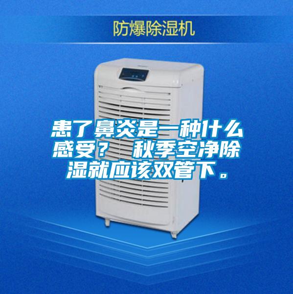 患了鼻炎是一種什么感受? 秋季空凈除濕就應該雙管下。