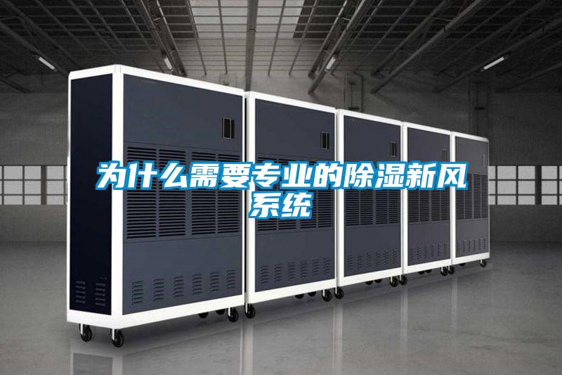 為什么需要專業的除濕新風系統