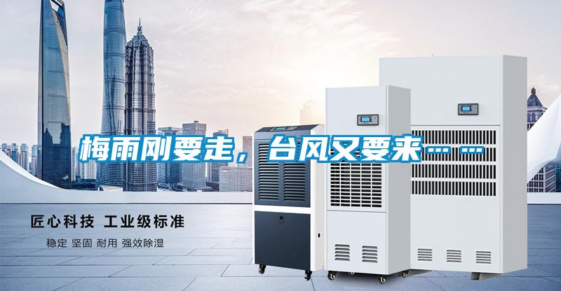 梅雨剛要走，臺風又要來……