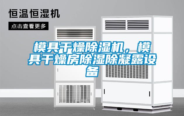 模具干燥除濕機,模具干燥房除濕除凝露設備