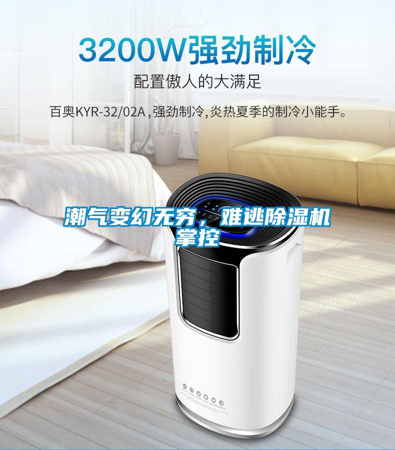 潮氣變幻無窮,難逃除濕機掌控