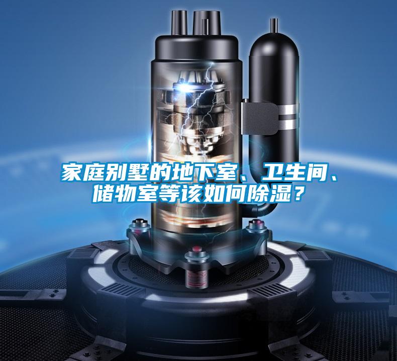 家庭別墅的地下室、衛(wèi)生間、儲(chǔ)物室等該如何除濕?