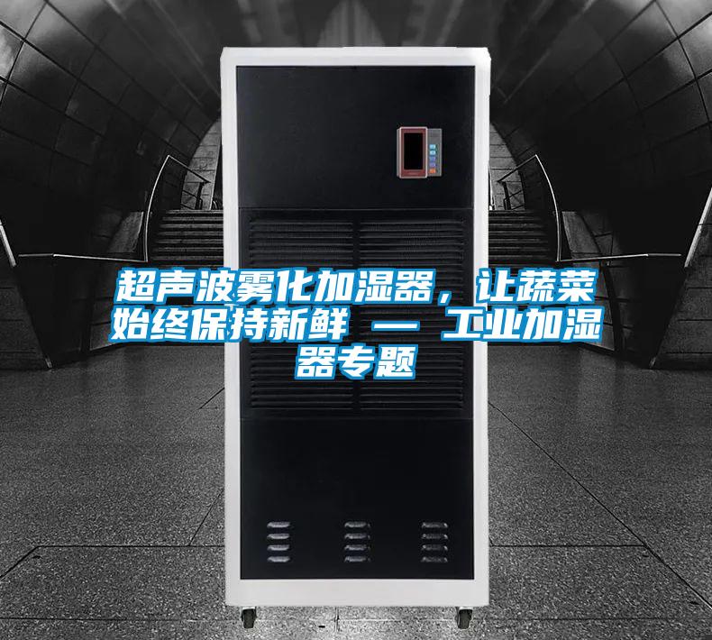 超聲波霧化加濕器,讓蔬菜始終保持新鮮 — 工業(yè)加濕器專題