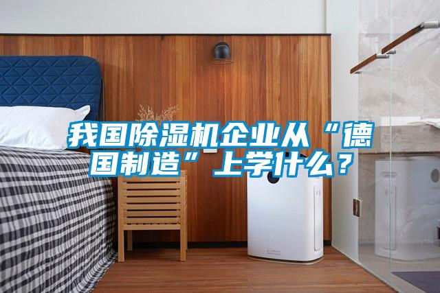 我國除濕機企業從“德國制造”上學什么？