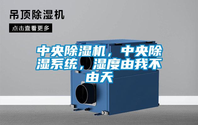 中央除濕機,中央除濕系統(tǒng),濕度由我不由天