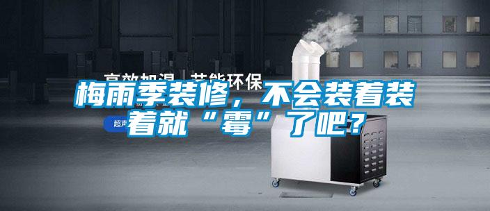 梅雨季裝修，不會裝著裝著就“霉”了吧？