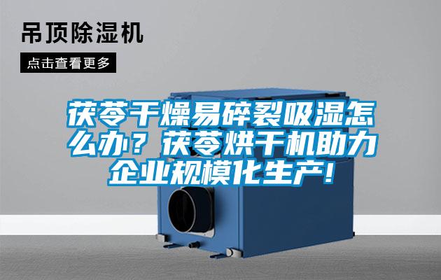 茯苓干燥易碎裂吸濕怎么辦?茯苓烘干機助力企業規模化生產!