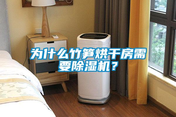 為什么竹筍烘干房需要除濕機？