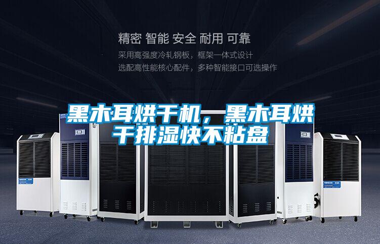 黑木耳烘干機，黑木耳烘干排濕快不粘盤