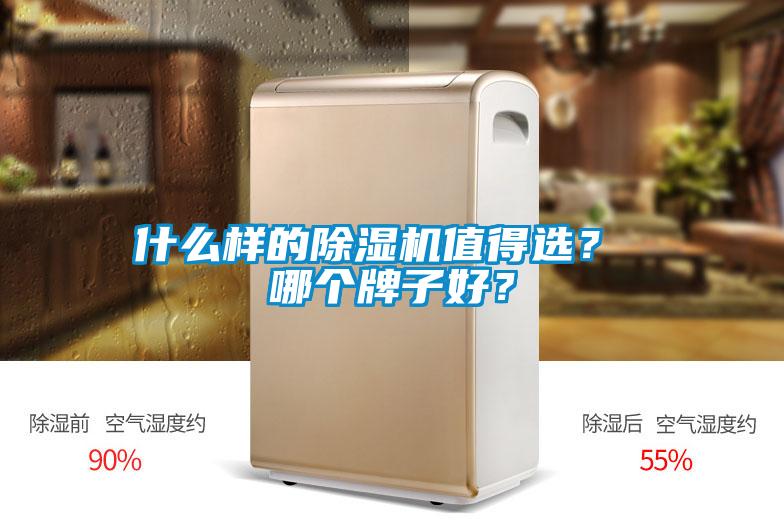 什么樣的除濕機(jī)值得選？ 哪個(gè)牌子好？