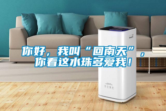 你好,我叫“回南天”,你看這水珠多愛我!