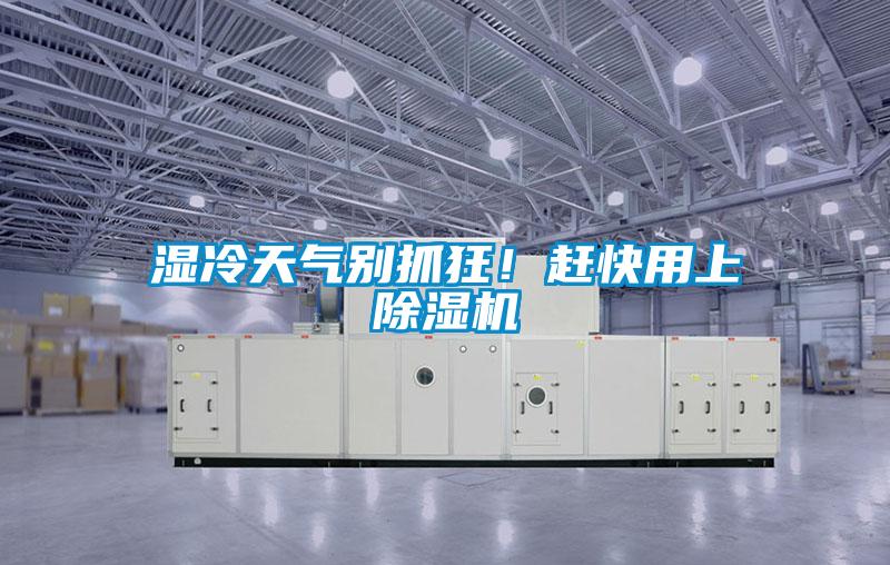 濕冷天氣別抓狂!趕快用上除濕機