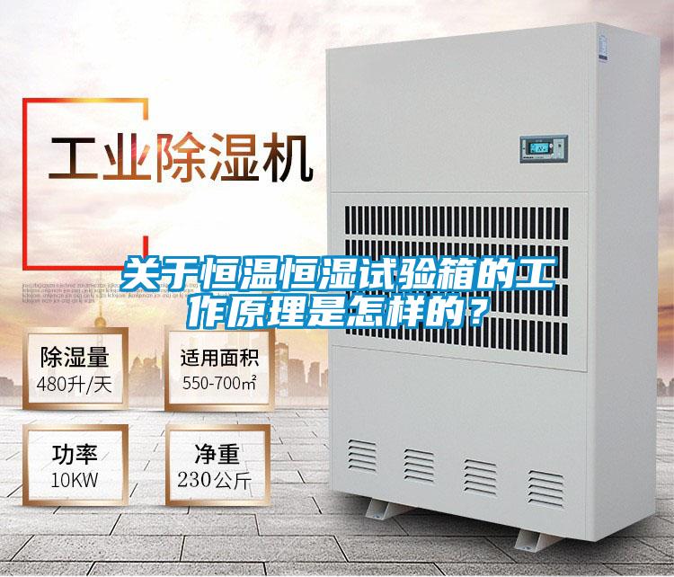 關于恒溫恒濕試驗箱的工作原理是怎樣的?