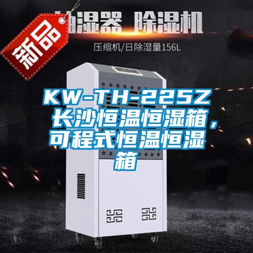 KW-TH-225Z 長沙恒溫恒濕箱，可程式恒溫恒濕箱