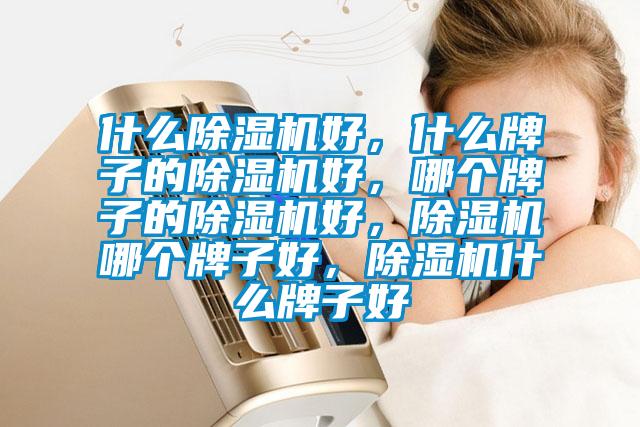 什么除濕機好,什么牌子的除濕機好,哪個牌子的除濕機好,除濕機哪個牌子好,除濕機什么牌子好