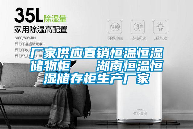 廠家供應(yīng)直銷恒溫恒濕儲物柜 湖南恒溫恒濕儲存柜生產(chǎn)廠家