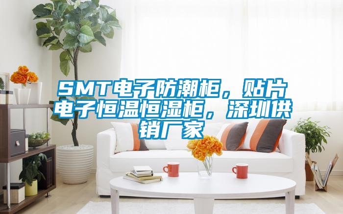 SMT電子防潮柜，貼片電子恒溫恒濕柜，深圳供銷廠家