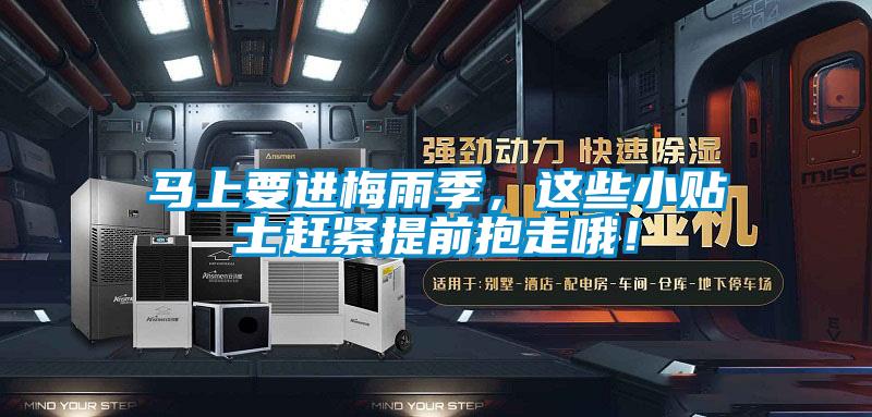 馬上要進(jìn)梅雨季，這些小貼士趕緊提前抱走哦！