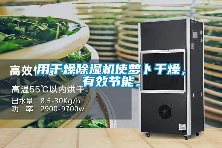 用干燥除濕機(jī)使蘿卜干燥,有效節(jié)能。