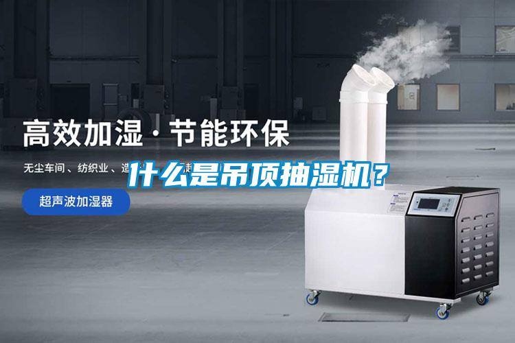 什么是吊頂抽濕機(jī)？