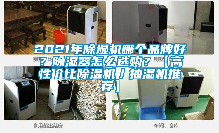 2021年除濕機哪個品牌好？除濕器怎么選購？【高性價比除濕機／抽濕機推薦】