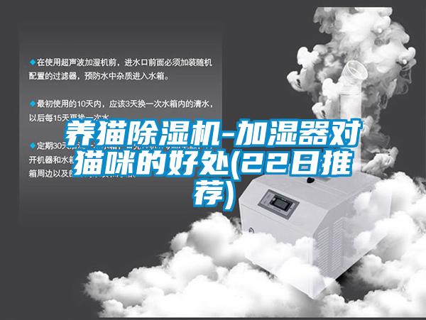 養(yǎng)貓除濕機(jī)-加濕器對貓咪的好處(22日推薦)