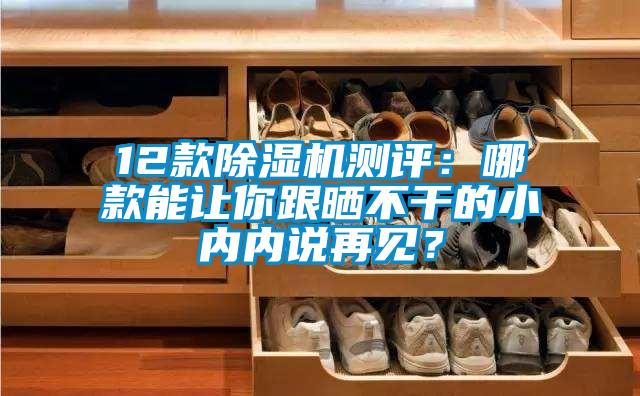 12款除濕機測評：哪款能讓你跟曬不干的小內內說再見？