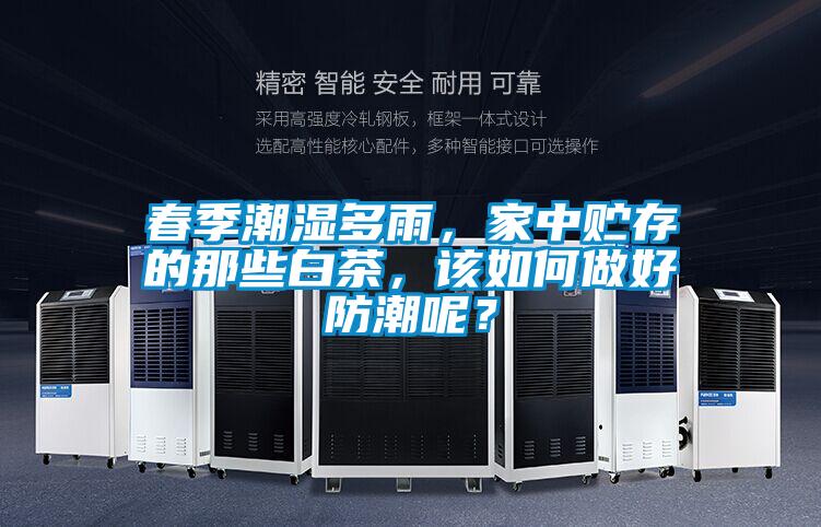 春季潮濕多雨，家中貯存的那些白茶，該如何做好防潮呢？